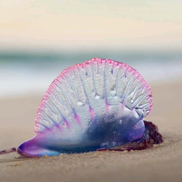 小目标🌹🌹🌹🌹