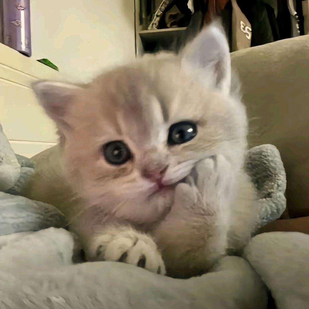 ˡᵒᵛᵉ