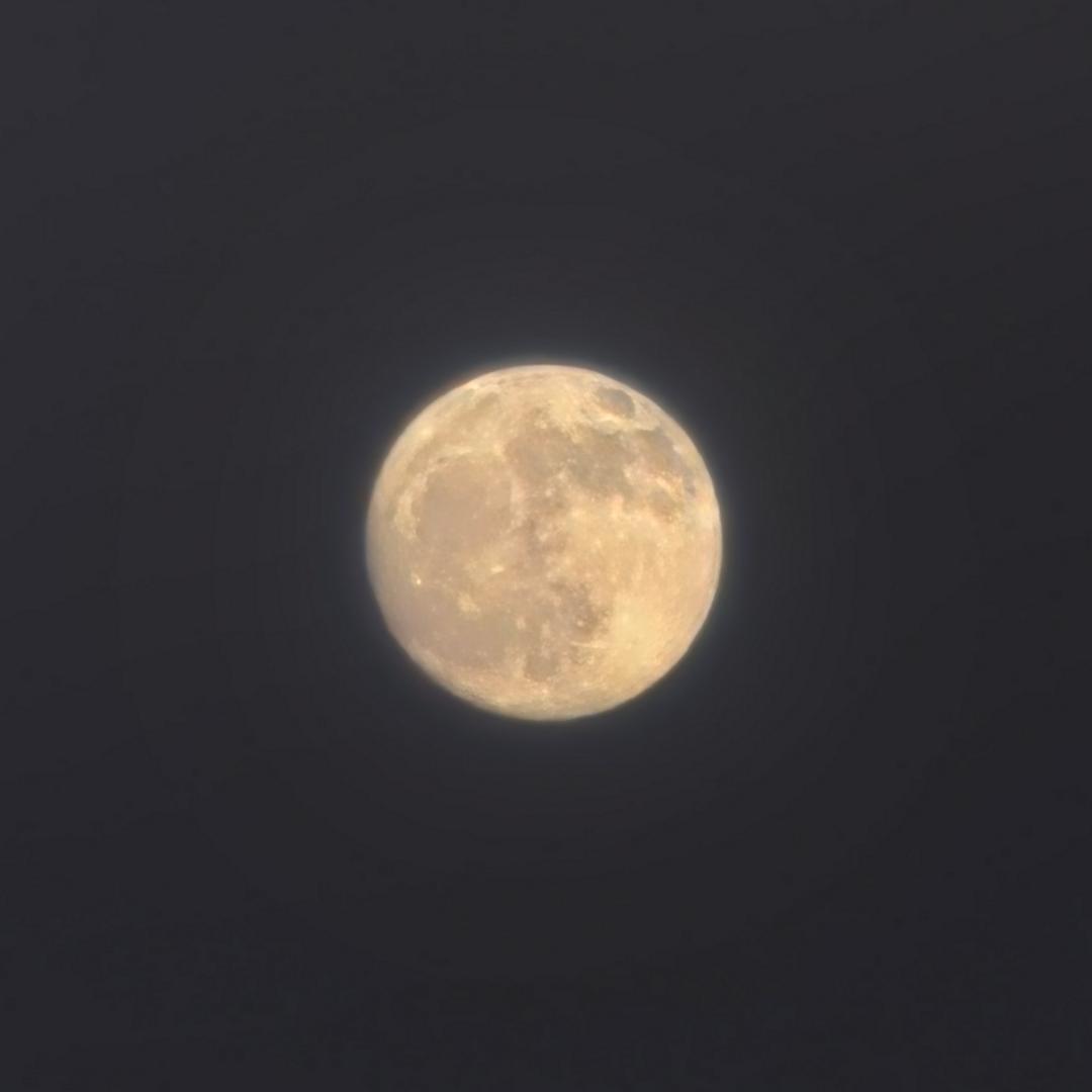 義