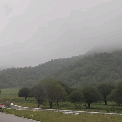 杰泽百货