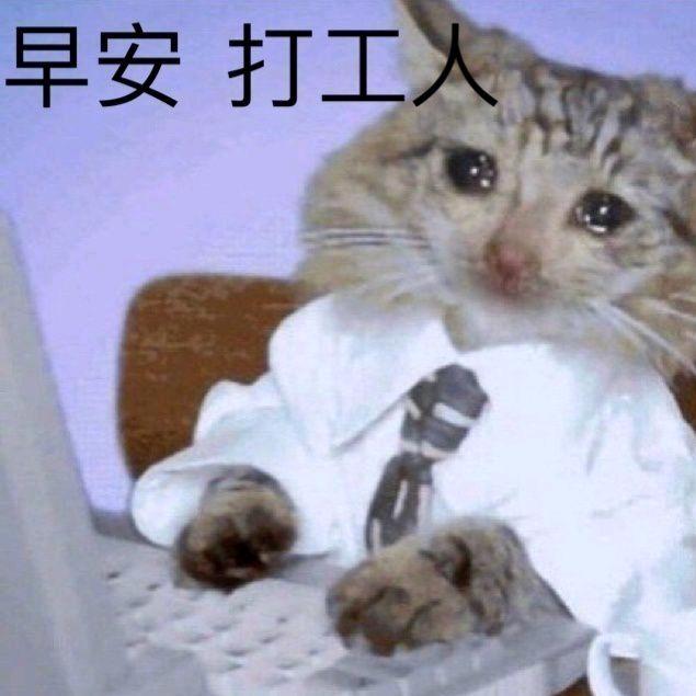 大风大雨满街跑，