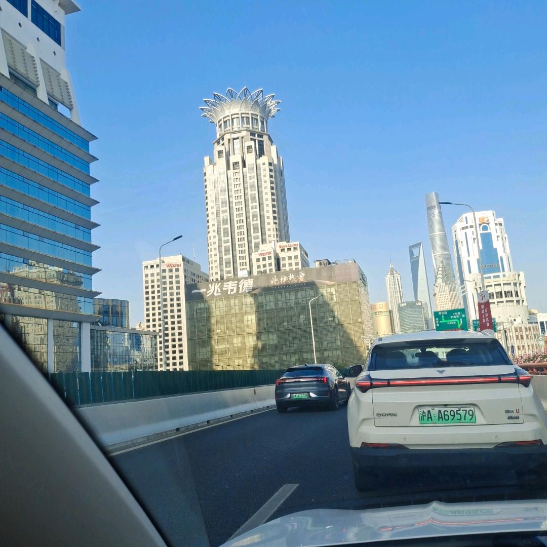 樱花树下的约定