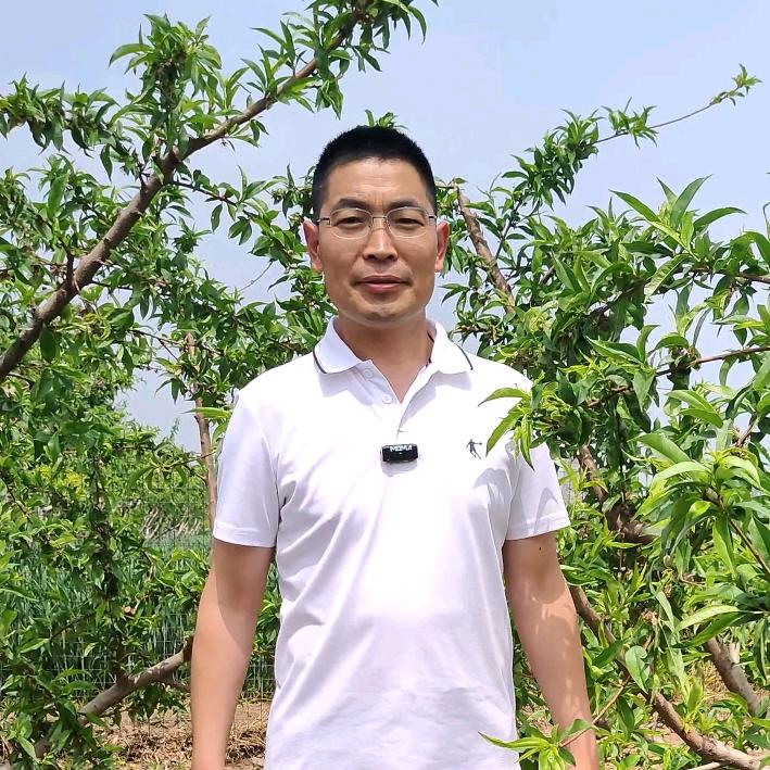 🔥大东说果树