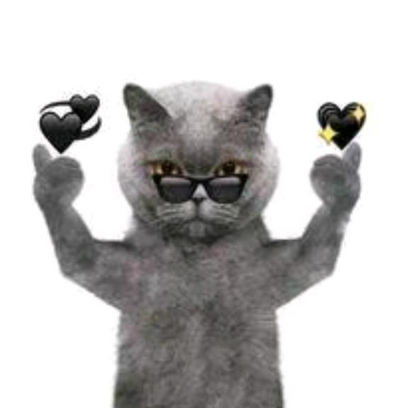 👉萝卜头👈ృ