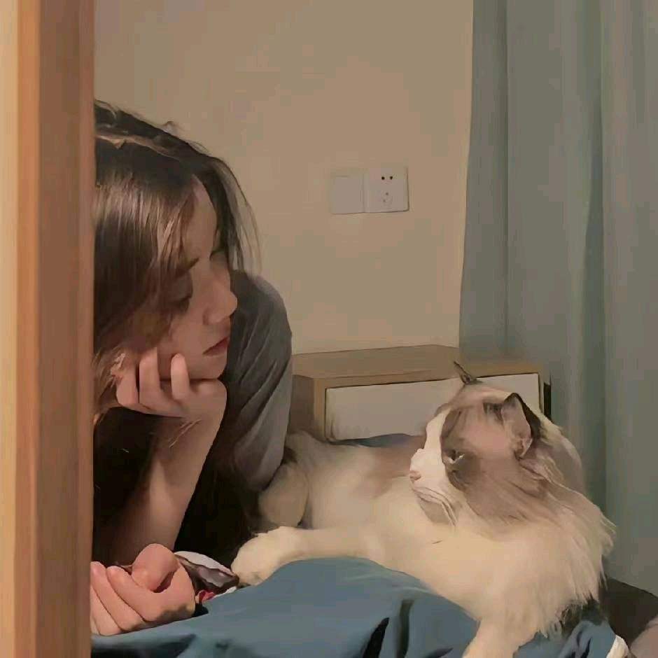 敖了个敖