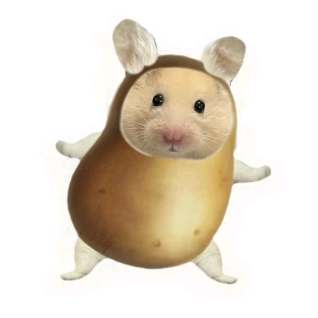 来码头整点薯条