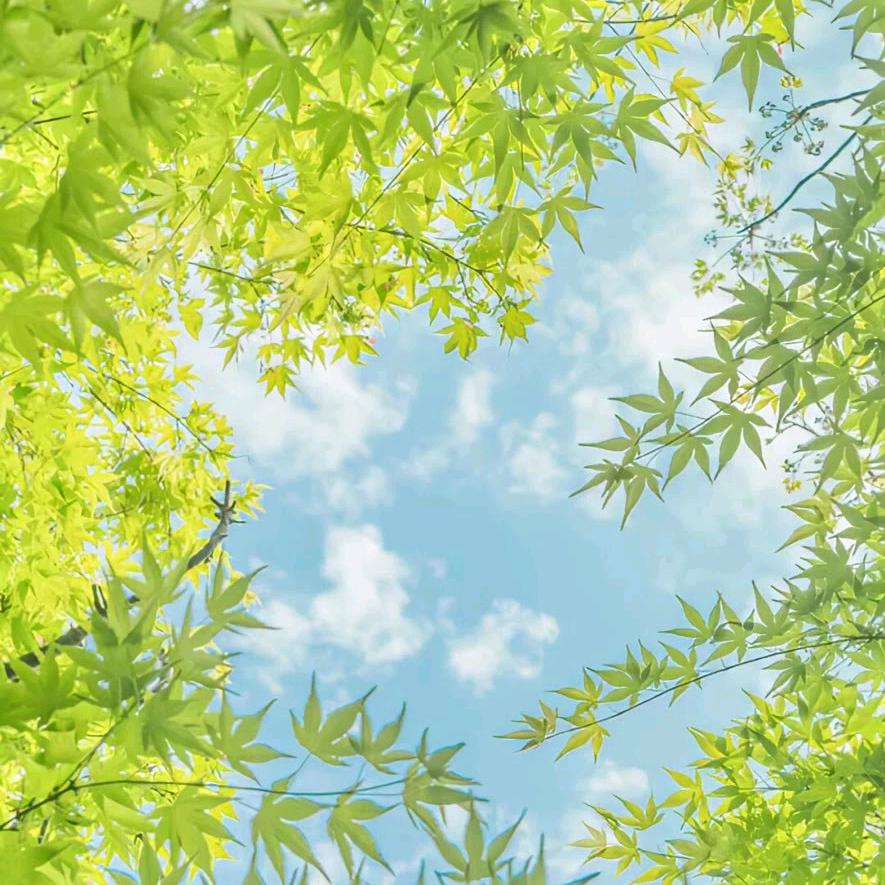 李拜天