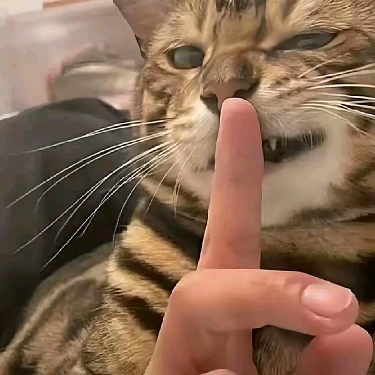 李子中