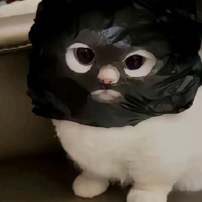 扬宁