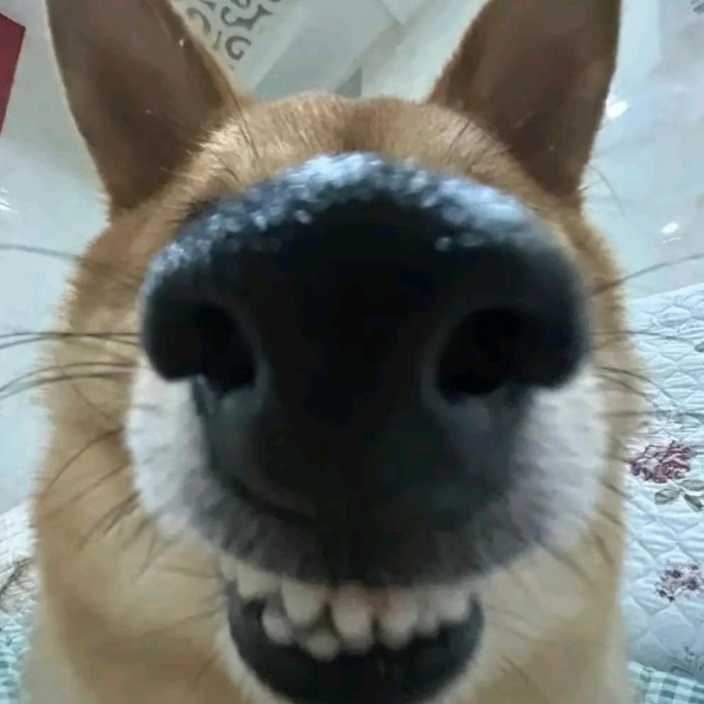 ....