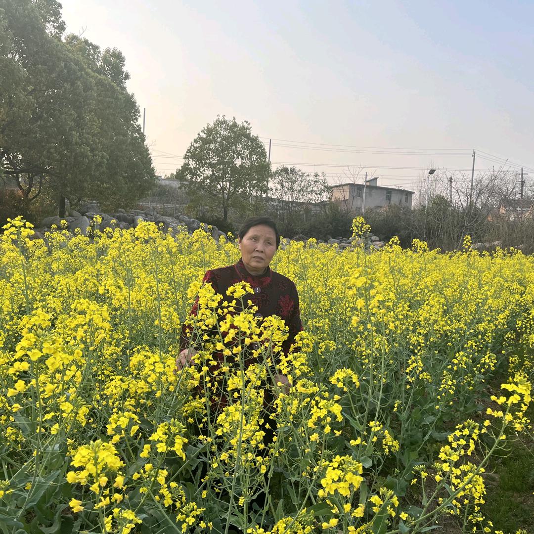 邹秀琴