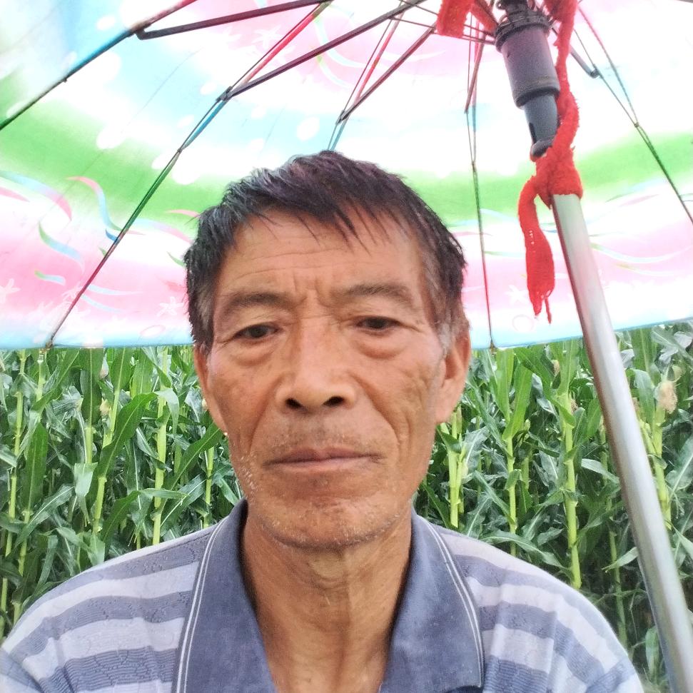 雪中梅花#