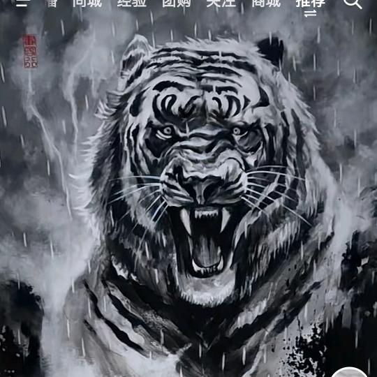 牵着月亮找太阳
