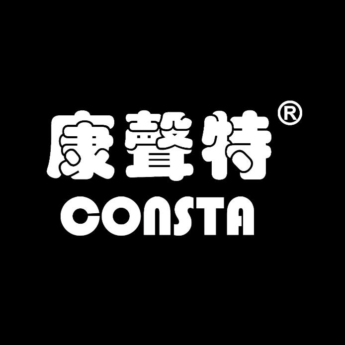 consta康声特电子电工