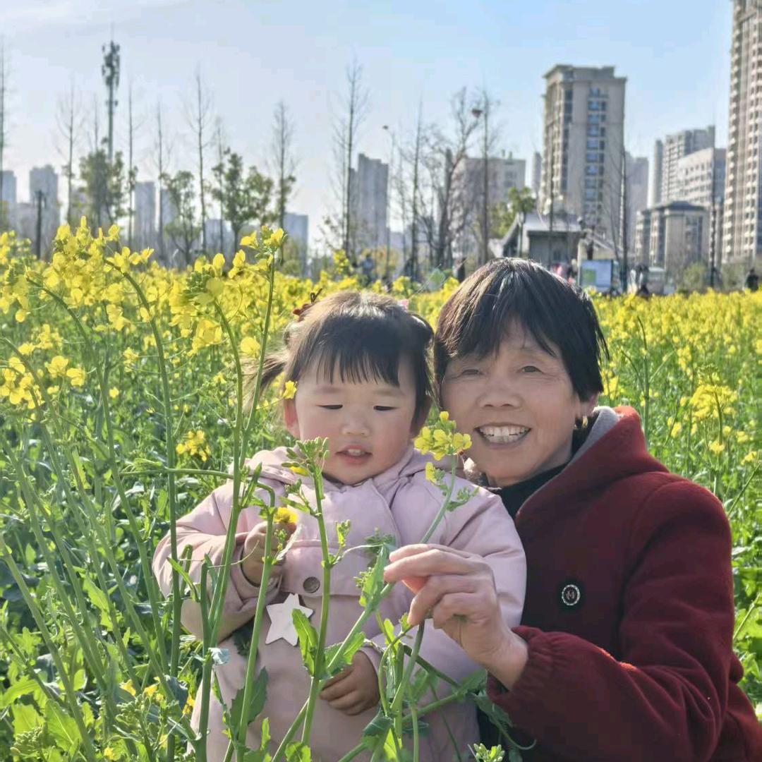 唯爱菊