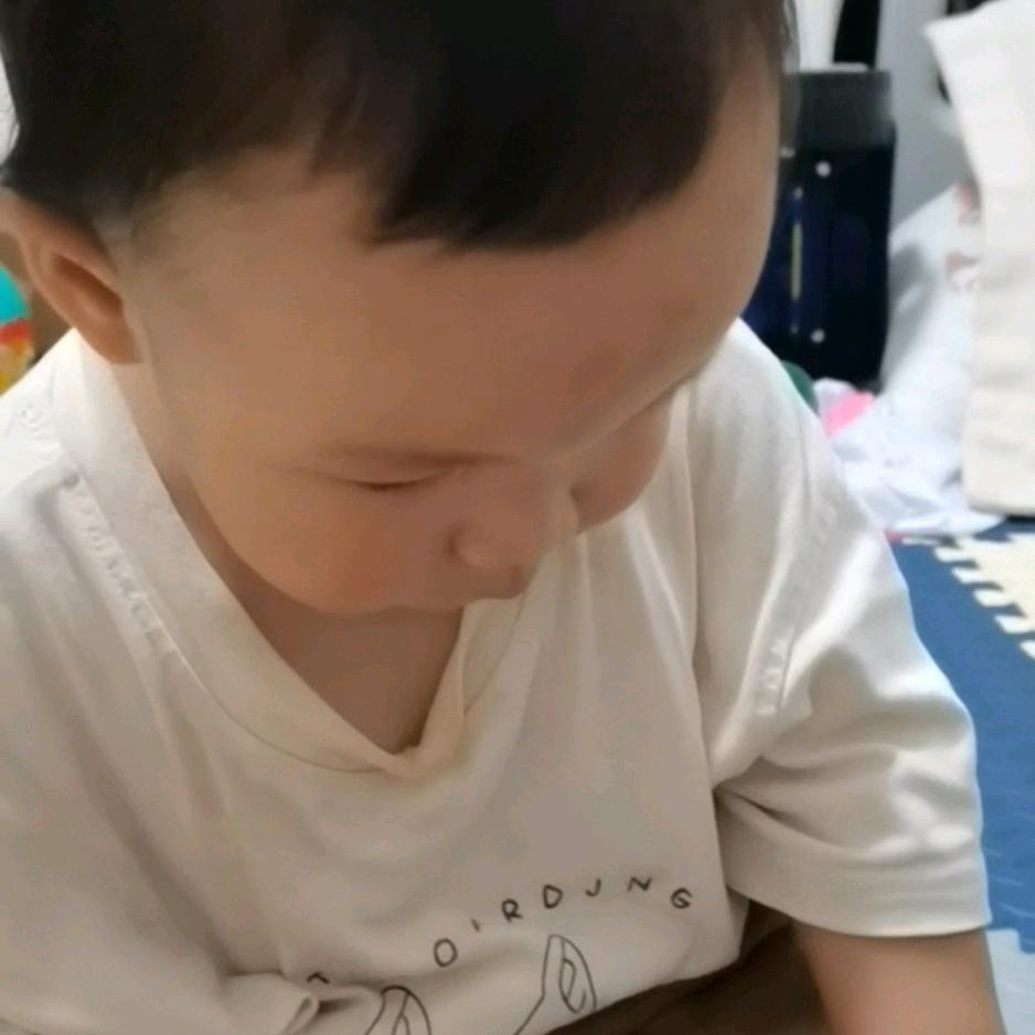 小蝌蚪