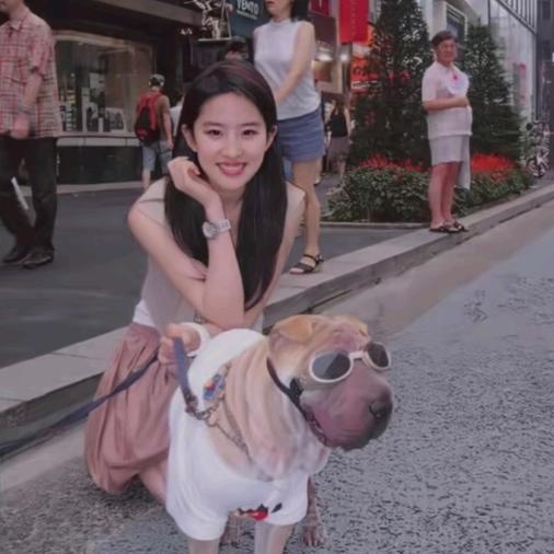 有怡点意思