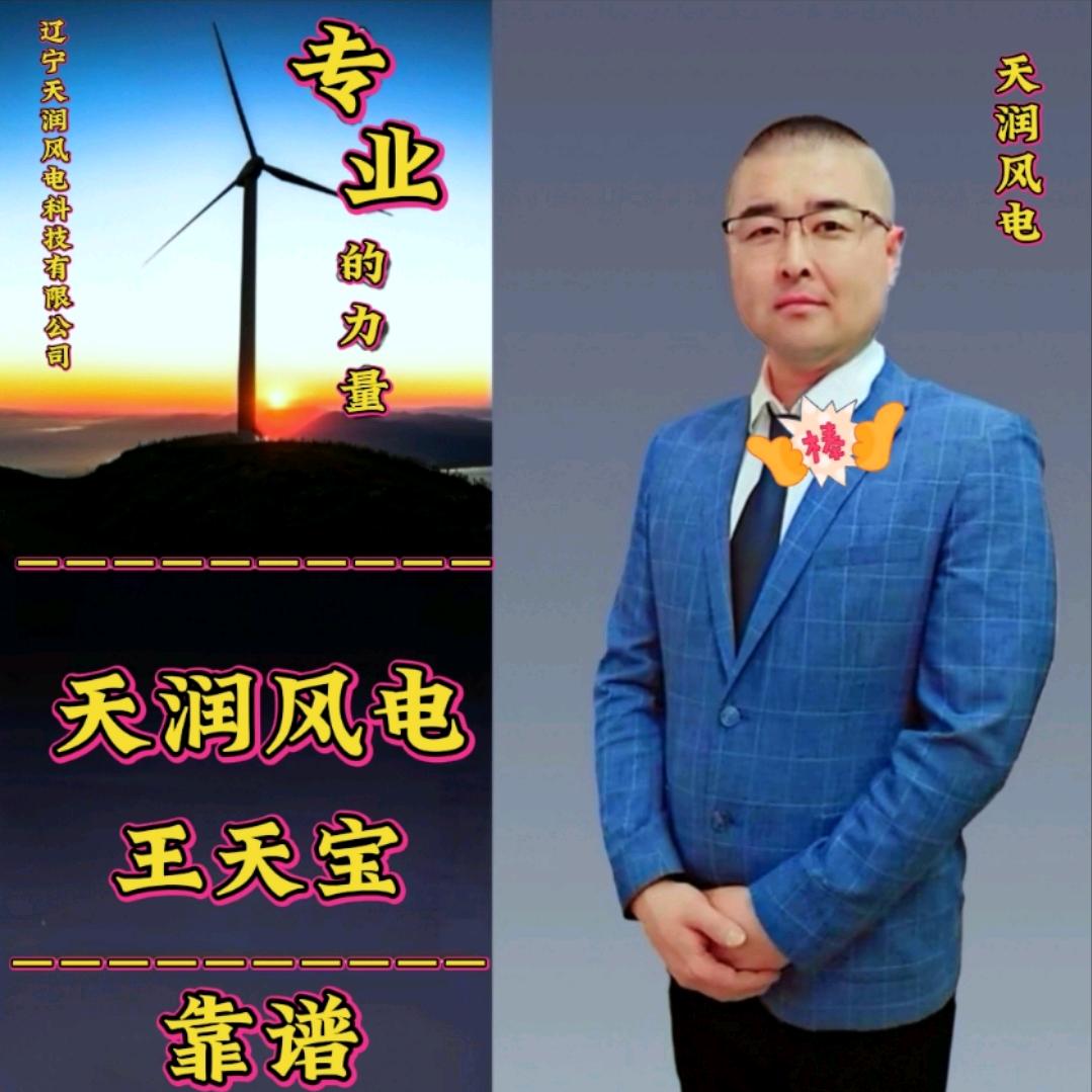天润风电～王天宝