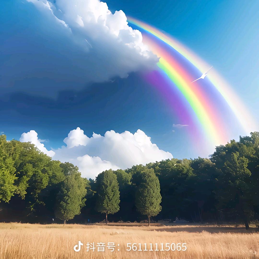 🌈🎉不知道取啥名