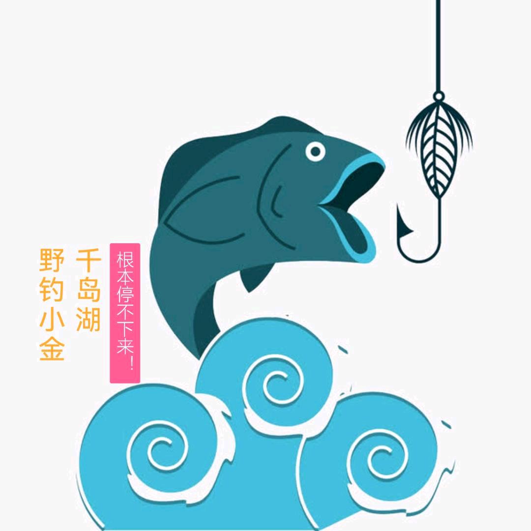 @钓鱼小金