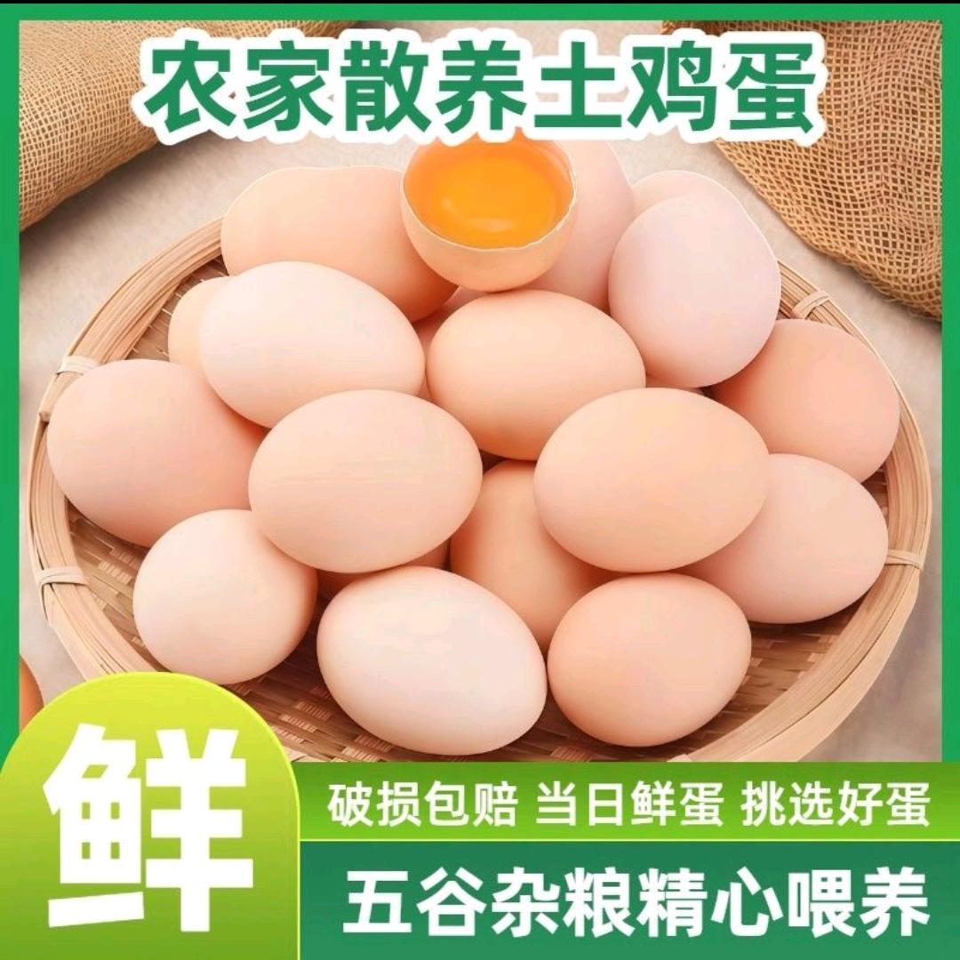 @豪豪甄选