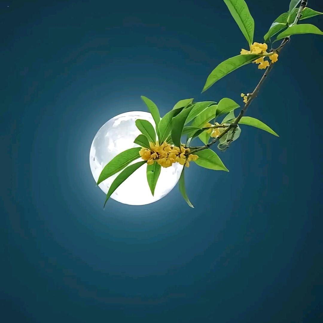 钟声