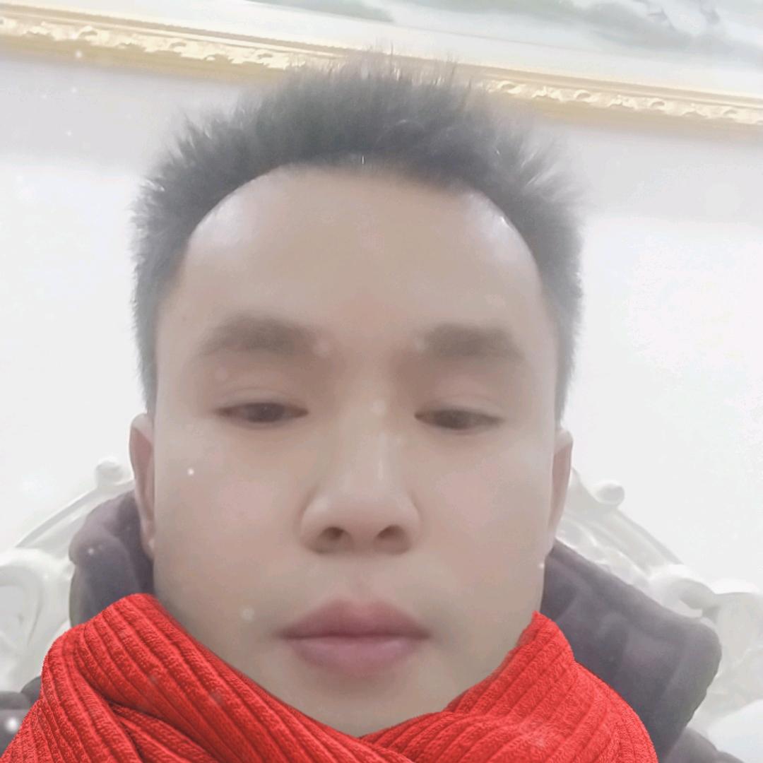 重庆仔/贵州的婿