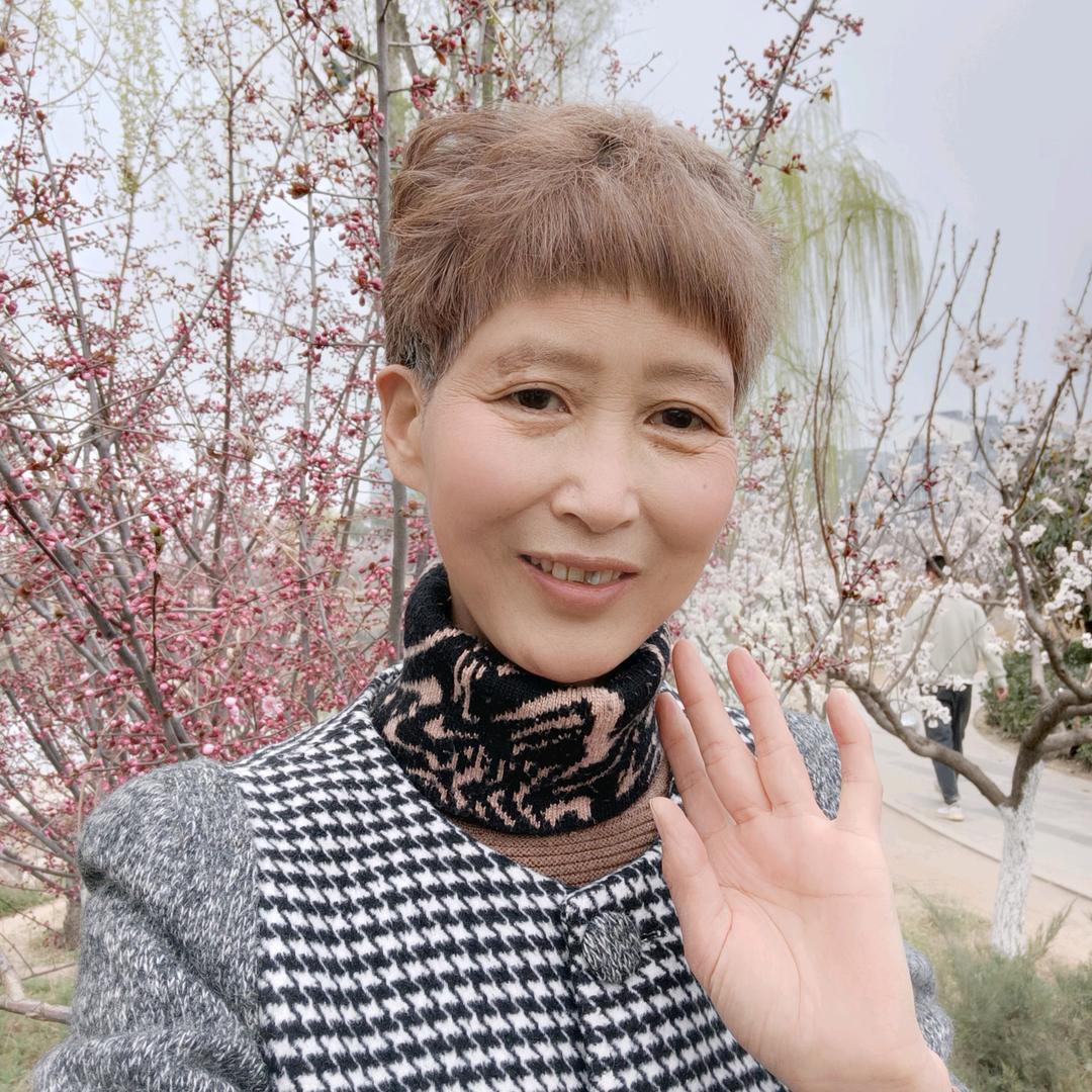 金兰运动养生