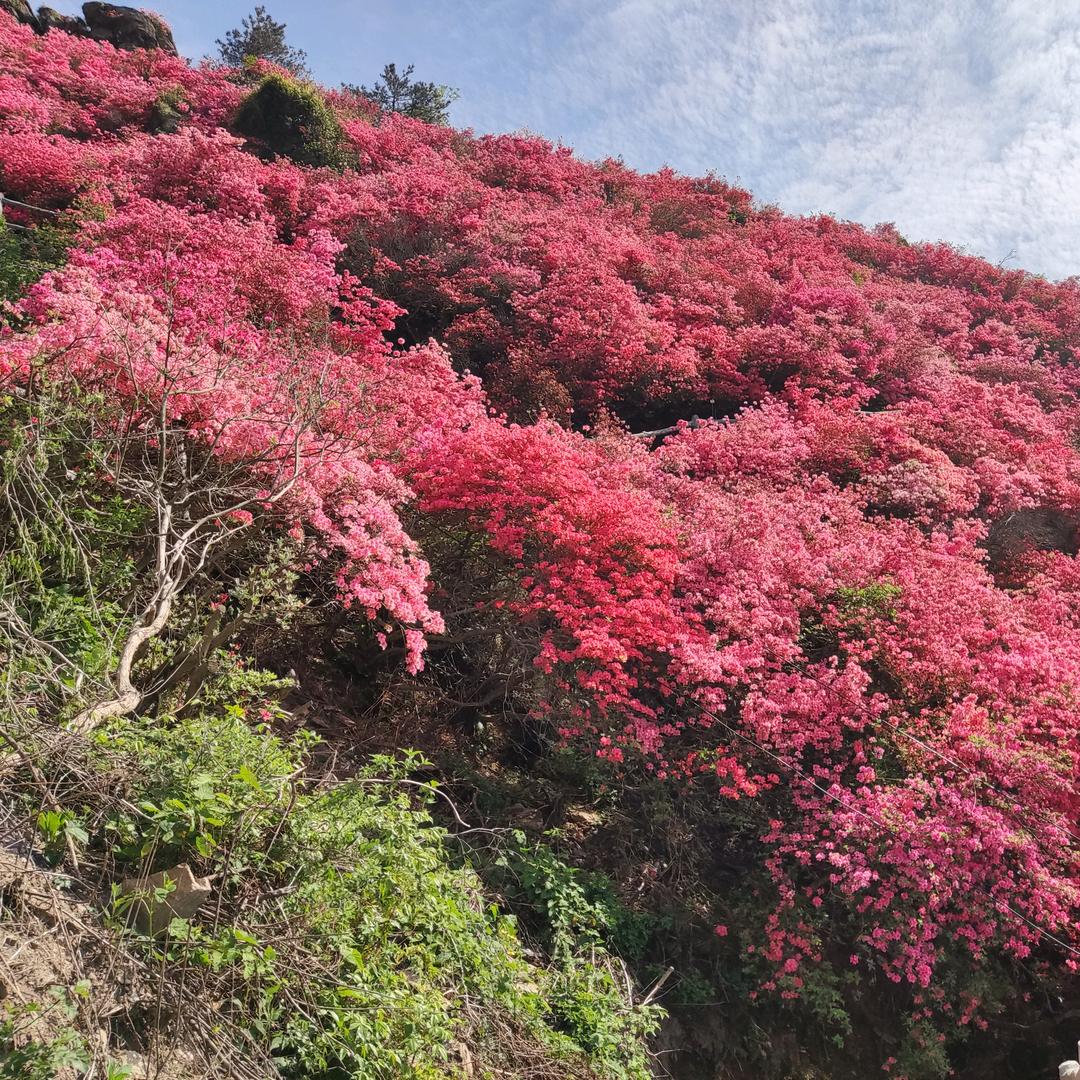 山城遗梦⁷⁷⁹⁹