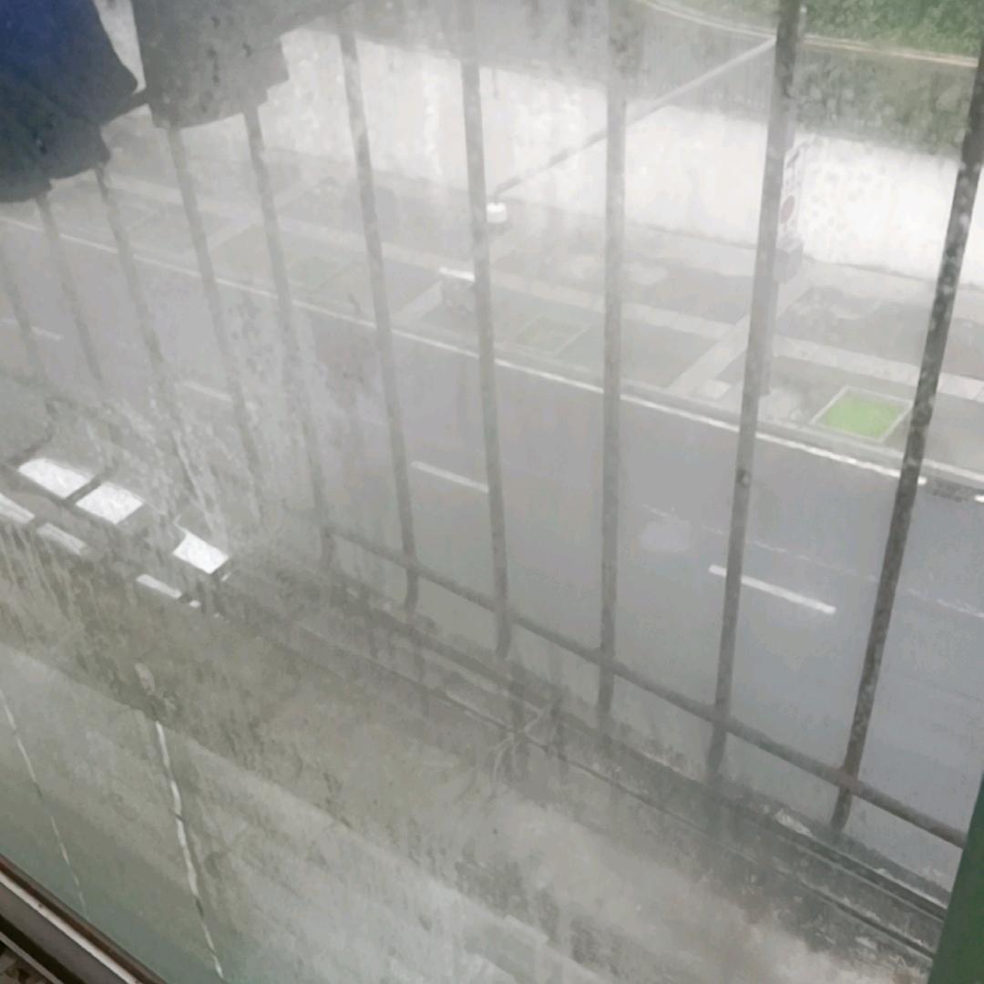 落叶知秋
