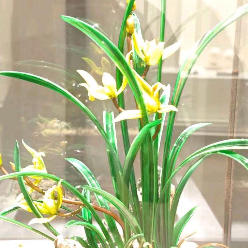 漫步万花