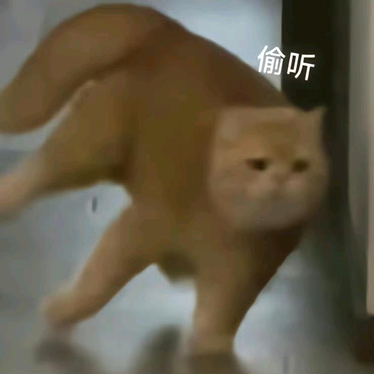 ⭐.