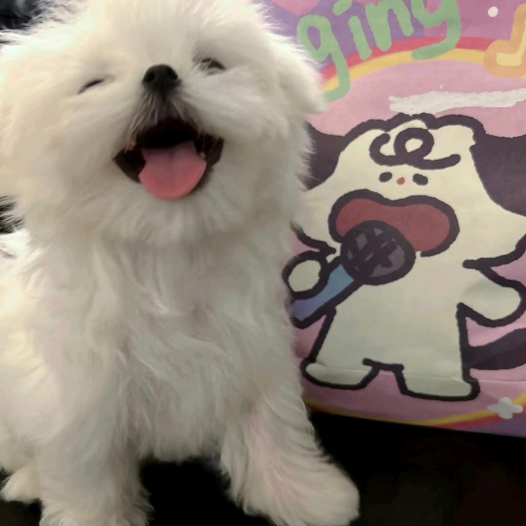 彗发财⭐