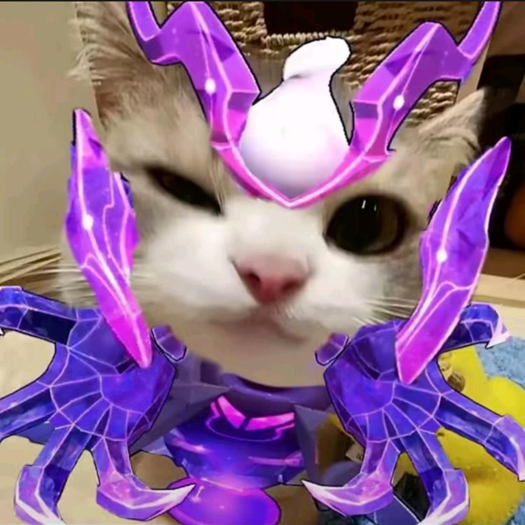 悔过