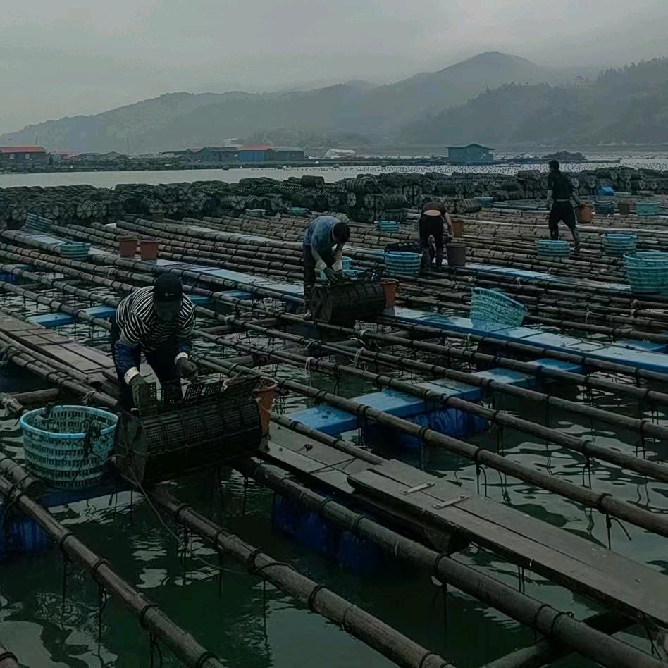 追海八零后