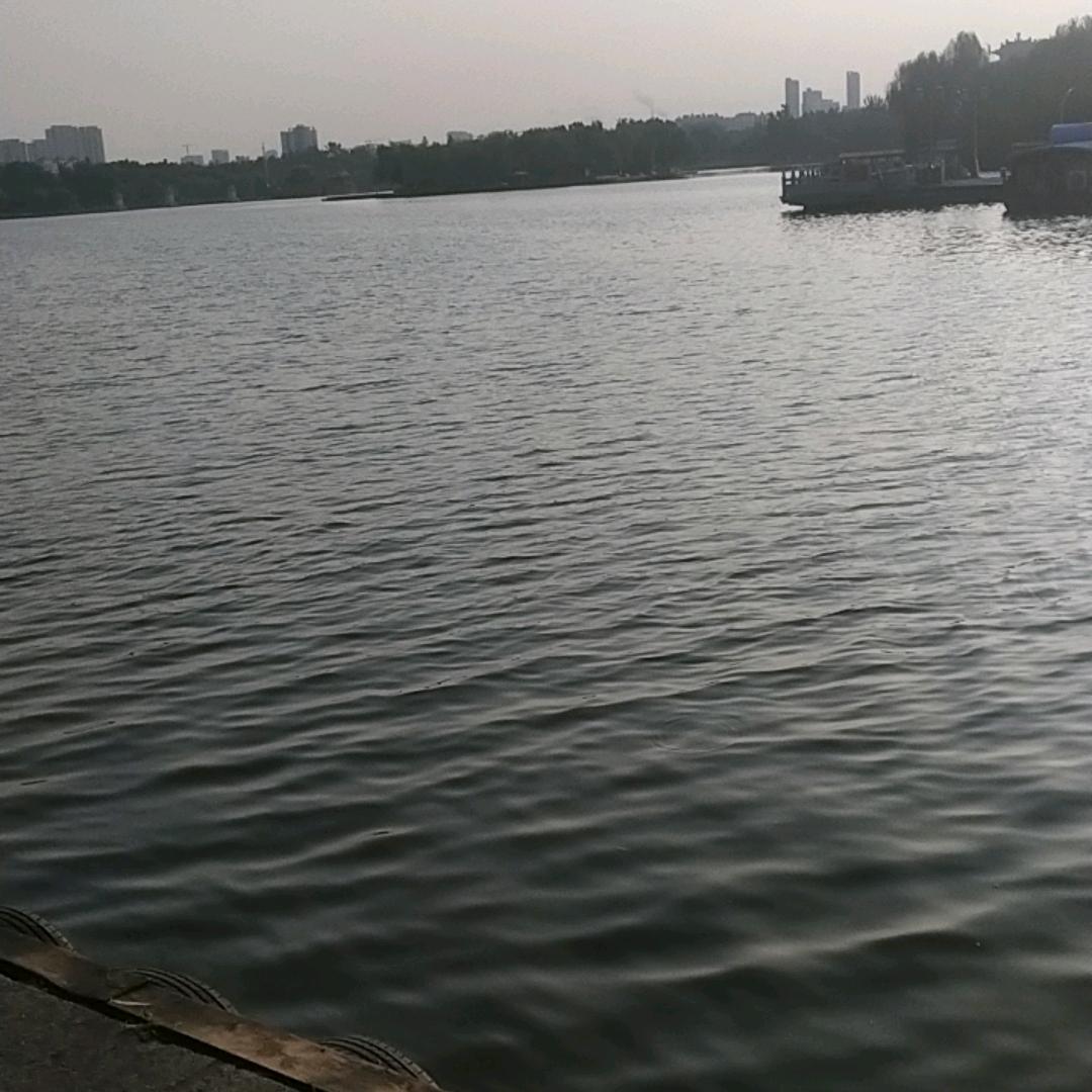 风平浪静