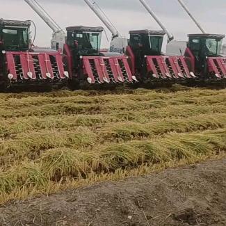 😈东辉农业👿带车人👿