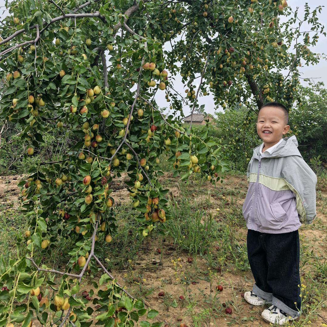楷晰食品