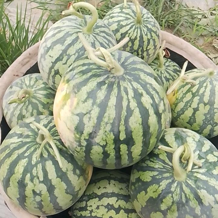 广兴果业