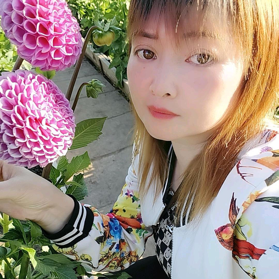 🍒0.5里🍒