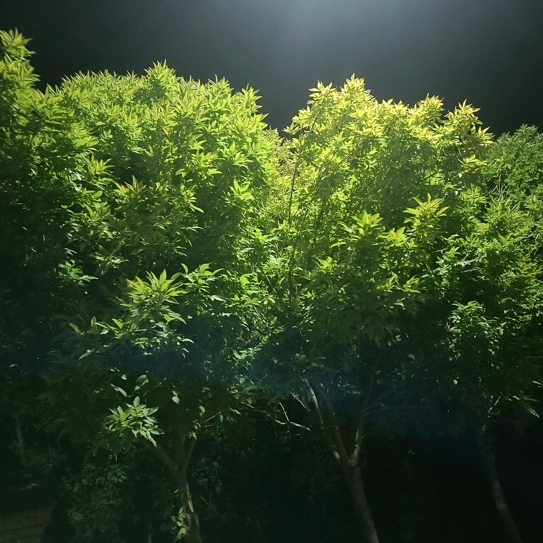 新农人