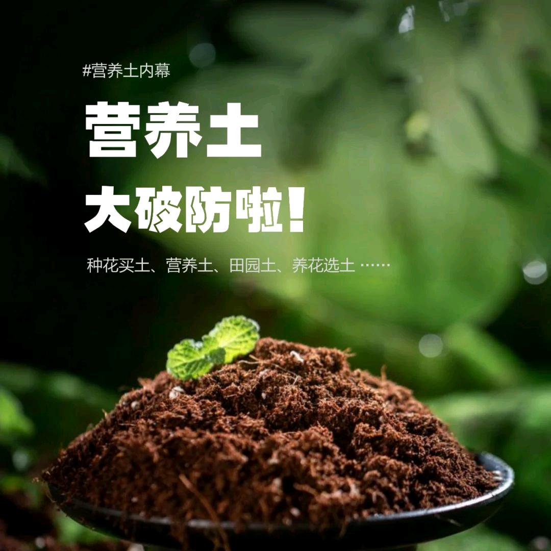 小朱好物分享