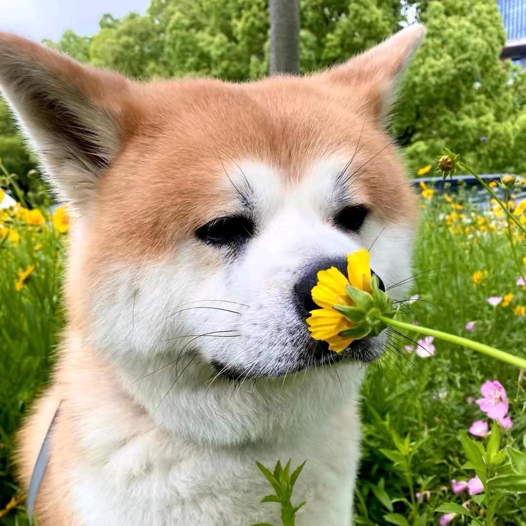 辻₤弎♡
