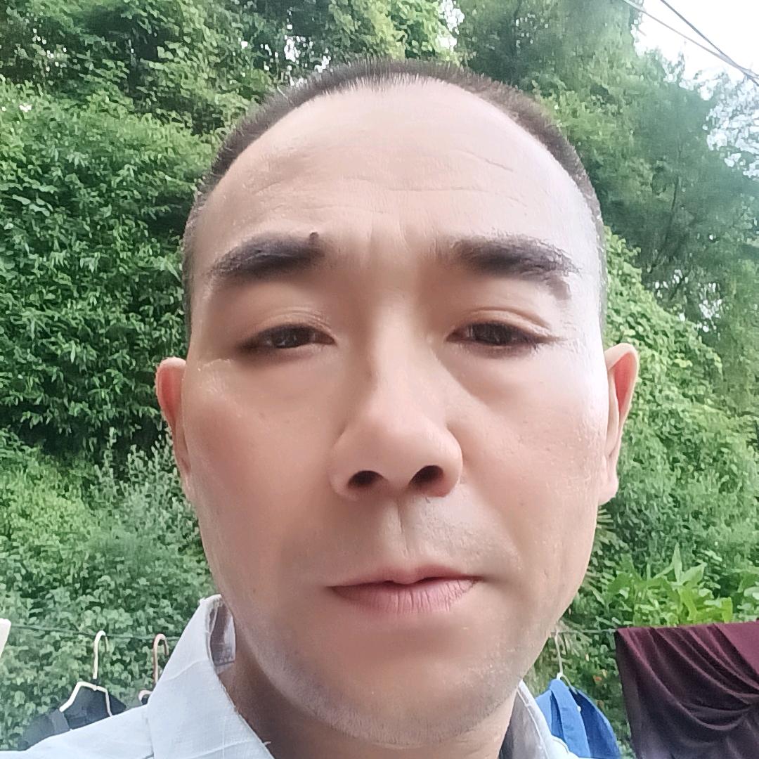 智商哥