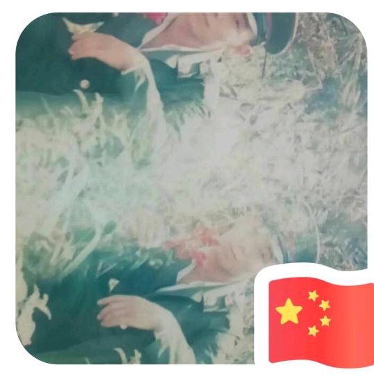 感悟一生