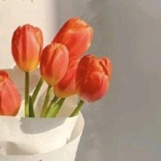 永不言弃