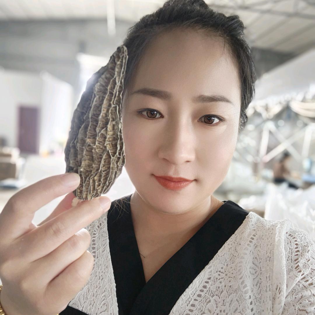森茂菌业