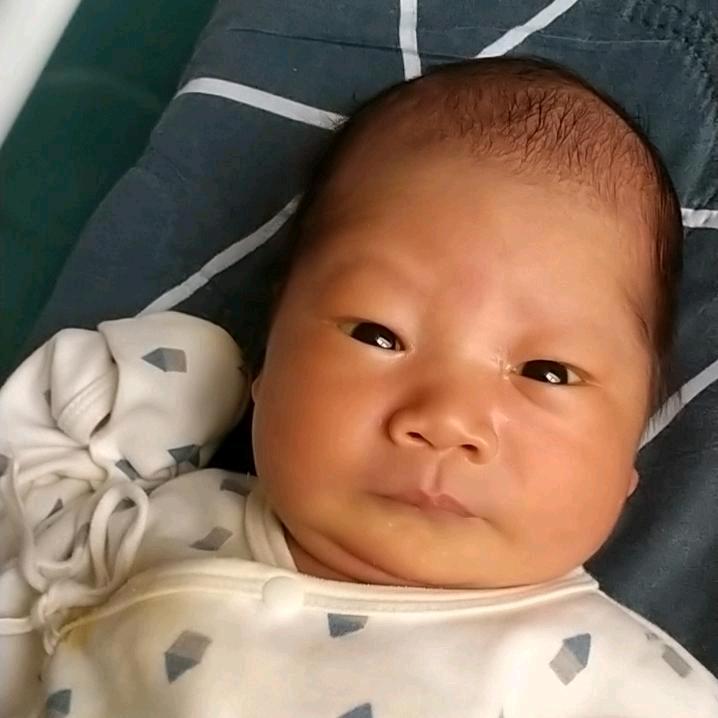 贾姐