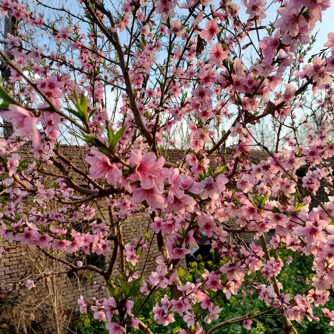 与世无争