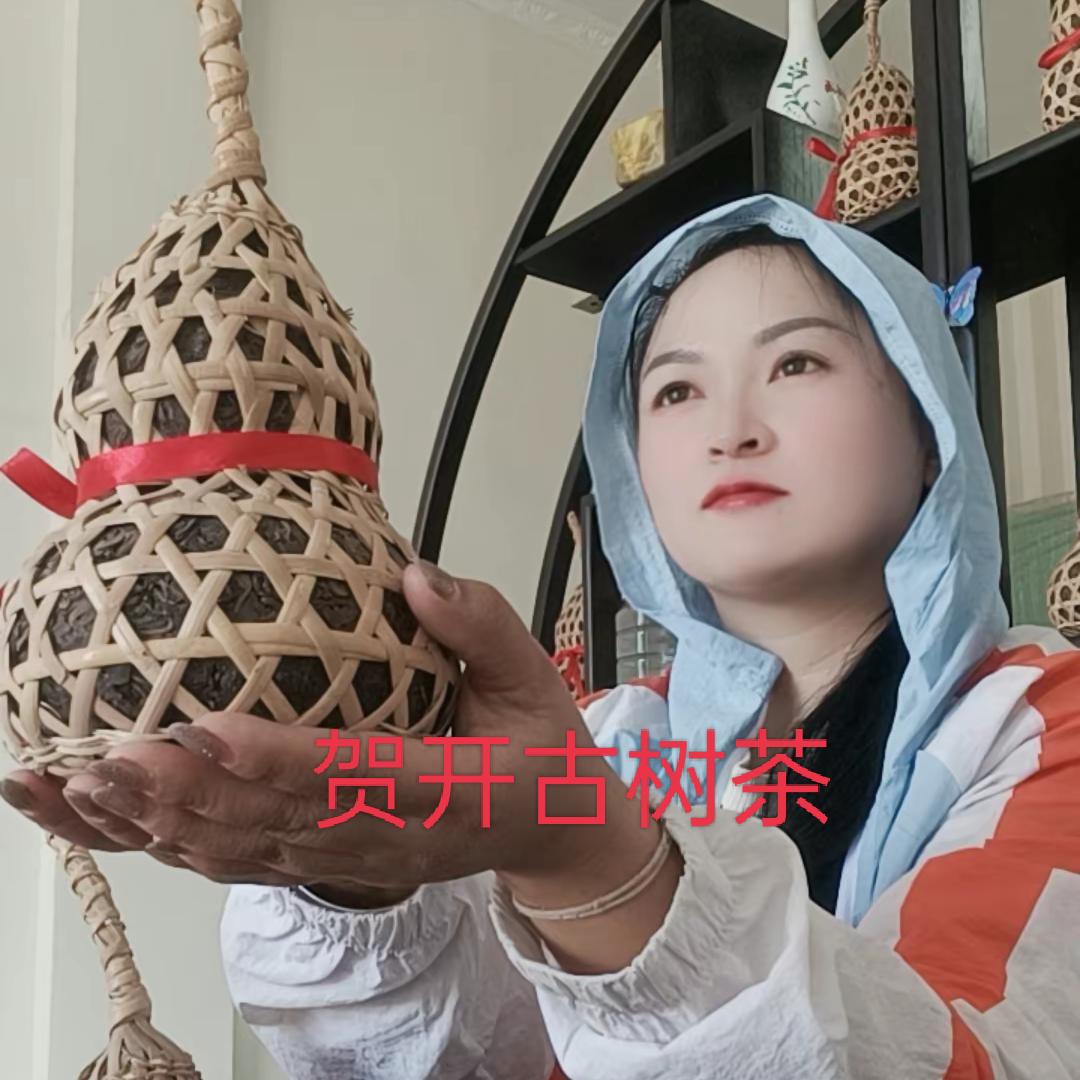 贺开曼弄新茶农  🤟🤟🤟